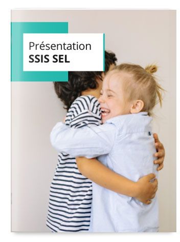 SSIS SEL : Présentation de l'outil