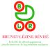 BLR - Échelle de développement psychomoteur de la première enfance de Brunet-Lezine