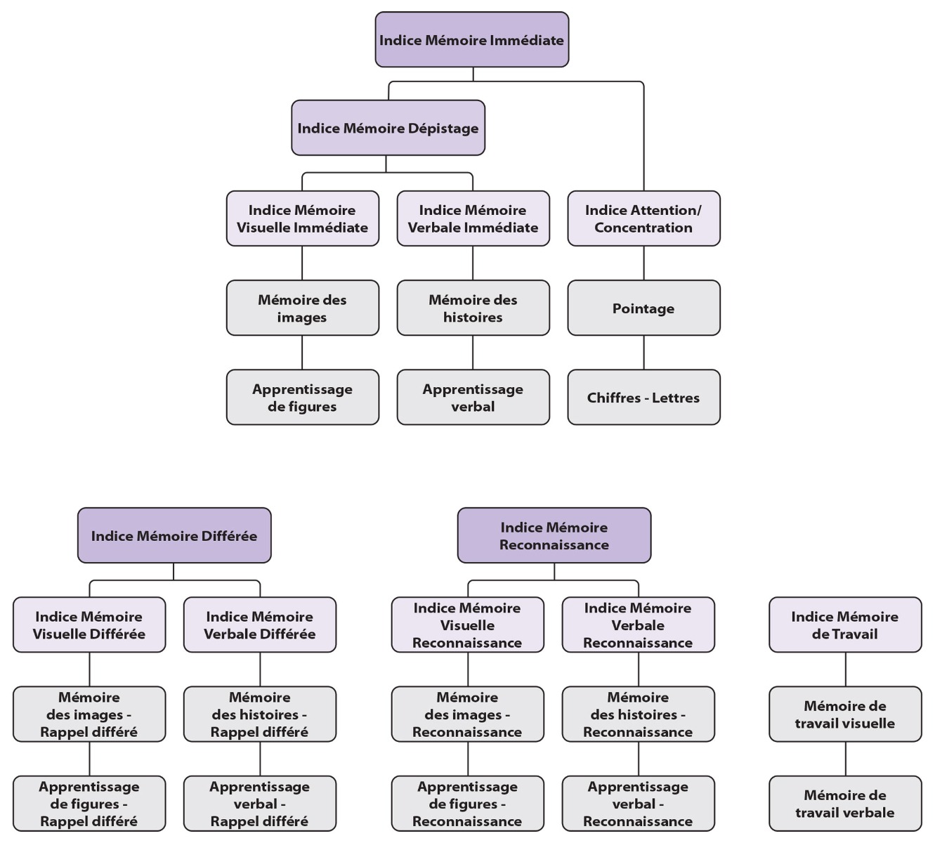 WRAML3_structure